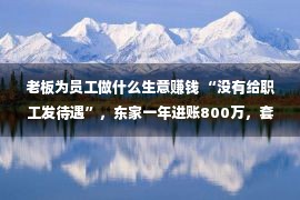 老板为员工做什么生意赚钱 “没有给职工发待遇”，东家一年进账800万，套路太牛了，出去学学