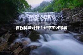 微视抖音赚钱 1分钟学识锦囊