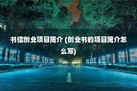 书信创业项目简介 (创业书的项目简介怎么写)