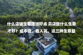 什么店铺生意赚钱好点 开店做什么生意才好？成本低、收入高，这三种生意最赚钱