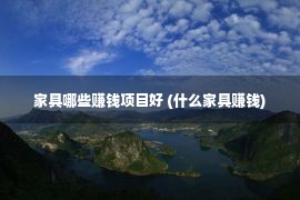 家具哪些赚钱项目好 (什么家具赚钱)