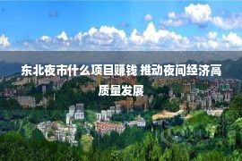 东北夜市什么项目赚钱 推动夜间经济高质量发展