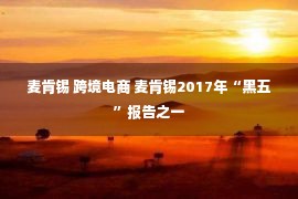 麦肯锡 跨境电商 麦肯锡2017年“黑五”报告之一