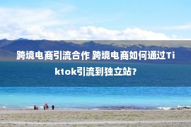 跨境电商引流合作 跨境电商如何通过Tiktok引流到独立站？