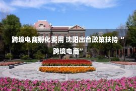 跨境电商孵化费用 沈阳出台政策扶持“跨境电商”