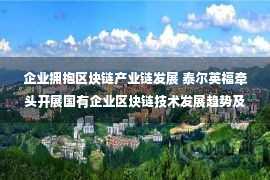 企业拥抱区块链产业链发展 泰尔英福牵头开展国有企业区块链技术发展趋势及基础设施建设研究