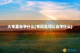 大专里自学什么(专科生可以自学什么)