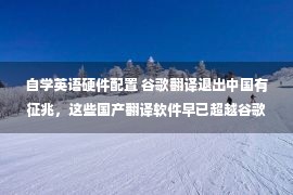 自学英语硬件配置 谷歌翻译退出中国有征兆，这些国产翻译软件早已超越谷歌多年