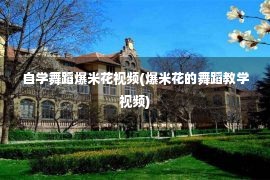 自学舞蹈爆米花视频(爆米花的舞蹈教学视频)