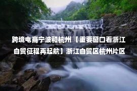 跨境电商宁波和杭州 【重要窗口看浙江 自贸征程再起航】浙江自贸区杭州片区：勇立潮头，数绘航图