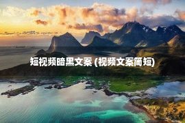 短视频暗黑文案 (视频文案简短)