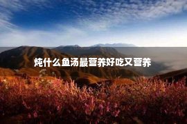 炖什么鱼汤最营养好吃又营养 