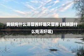 黄鳝炖什么汤营养好喝又营养 (黄鳝跟什么炖汤好喝)