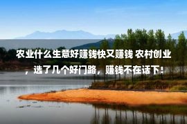 农业什么生意好赚钱快又赚钱 农村创业，选了几个好门路，赚钱不在话下！