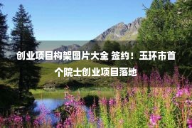 创业项目构架图片大全 签约！玉环市首个院士创业项目落地