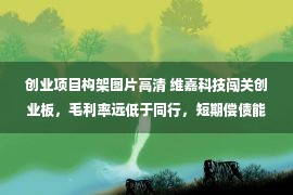 创业项目构架图片高清 维嘉科技闯关创业板，毛利率远低于同行，短期偿债能力有待提升