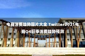 电商消费趋势图片大全 Twitter2021电商Q4旺季消费趋势预测