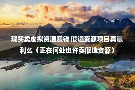 现实卖虚拟资源赚钱 假造资源项目真赢利么（正在何处也许卖假造资源）