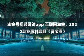 淘金号视频赚钱app 互联网淘金，2022副业赢利项目（藏宝图）