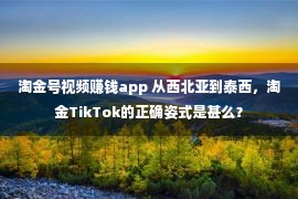 淘金号视频赚钱app 从西北亚到泰西，淘金TikTok的正确姿式是甚么？