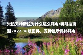 炎热天特斯拉为什么这么耗电:特斯拉更新2022.36版固件，支持显示具体耗电分类