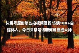 头条号原创怎么拍视频赚钱 访谈100+自媒体人，今日头条号该若何经营成大神？