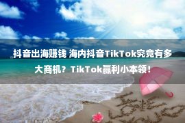 抖音出海赚钱 海内抖音TikTok究竟有多大商机？TikTok赢利小本领！