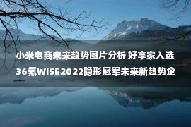 小米电商未来趋势图片分析 好享家入选36氪WISE2022隐形冠军未来新趋势企业