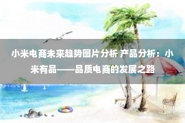 小米电商未来趋势图片分析 产品分析：小米有品——品质电商的发展之路