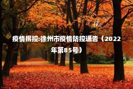 疫情拐控:徐州市疫情防控通告（2022年第85号）