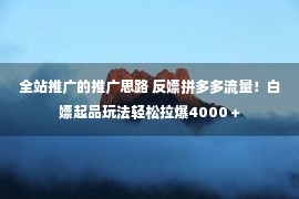 全站推广的推广思路 反嫖拼多多流量！白嫖起品玩法轻松拉爆4000＋