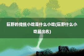 巨野的传统小吃是什么小吃(巨野什么小吃最出名)