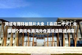 跨境电商样板图片大全 【喜迎二十大】全国首个跨境电商海外仓离境退税试点落地武清