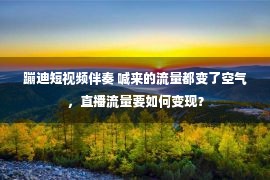 蹦迪短视频伴奏 喊来的流量都变了空气，直播流量要如何变现？