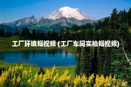 工厂环境短视频 (工厂车间实拍短视频)