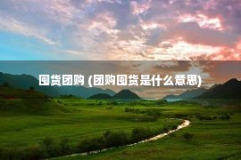 囤货团购 (团购囤货是什么意思)