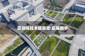 区块链技术做游戏:巨鲸数字