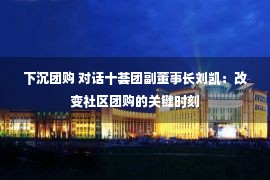 下沉团购 对话十荟团副董事长刘凯：改变社区团购的关键时刻