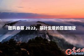 团购春茶 2022，茶叶生意的四面楚歌