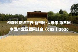 孙毅区块链主任 新格局·大未来 第三届中国产业互联网峰会（CIIS ）2020