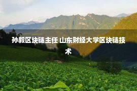 孙毅区块链主任 山东财经大学区块链技术