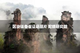 区块链备案证明图片 陀螺研究院