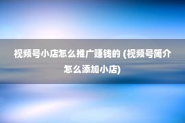 视频号小店怎么推广赚钱的 (视频号简介怎么添加小店)