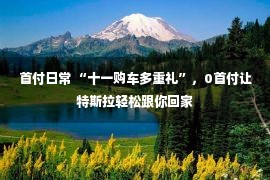 首付日常 “十一购车多重礼”，0首付让特斯拉轻松跟你回家