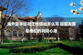 海外留学经验工作经验怎么写 回国发展是他们的共同心愿