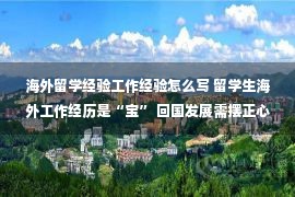 海外留学经验工作经验怎么写 留学生海外工作经历是“宝” 回国发展需摆正心态