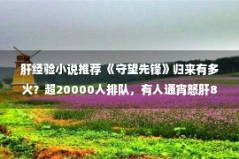 肝经验小说推荐 《守望先锋》归来有多火？超20000人排队，有人通宵怒肝8小时！