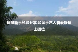 摆摊新手经验分享 又见手艺人将爱好摆上摊位