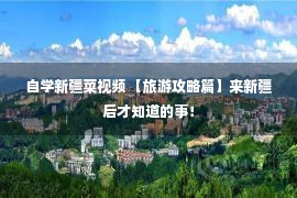 自学新疆菜视频 【旅游攻略篇】来新疆后才知道的事！