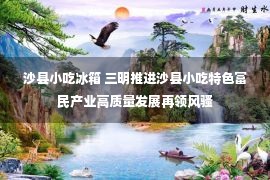 沙县小吃冰箱 三明推进沙县小吃特色富民产业高质量发展再领风骚